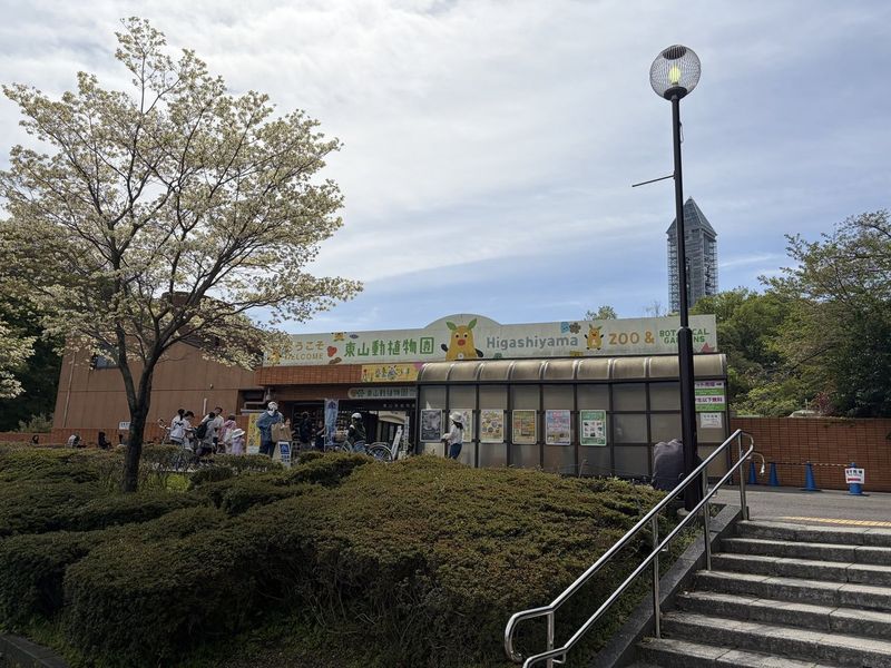 東山動植物園 駐車場 正門外観と桜・スカイタワー