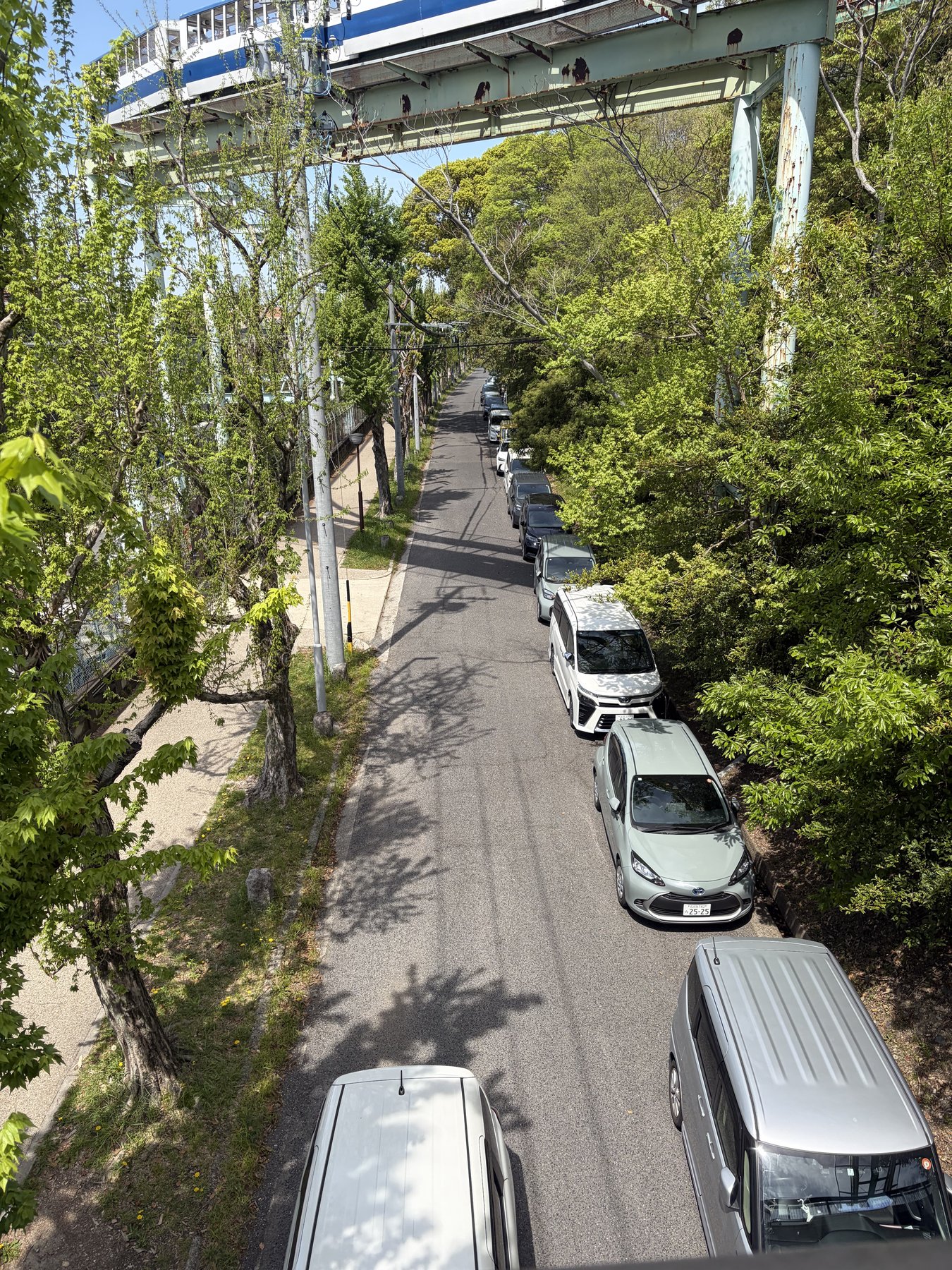 東山動植物園 駐車場 スカイタワー門近くの路上スペース