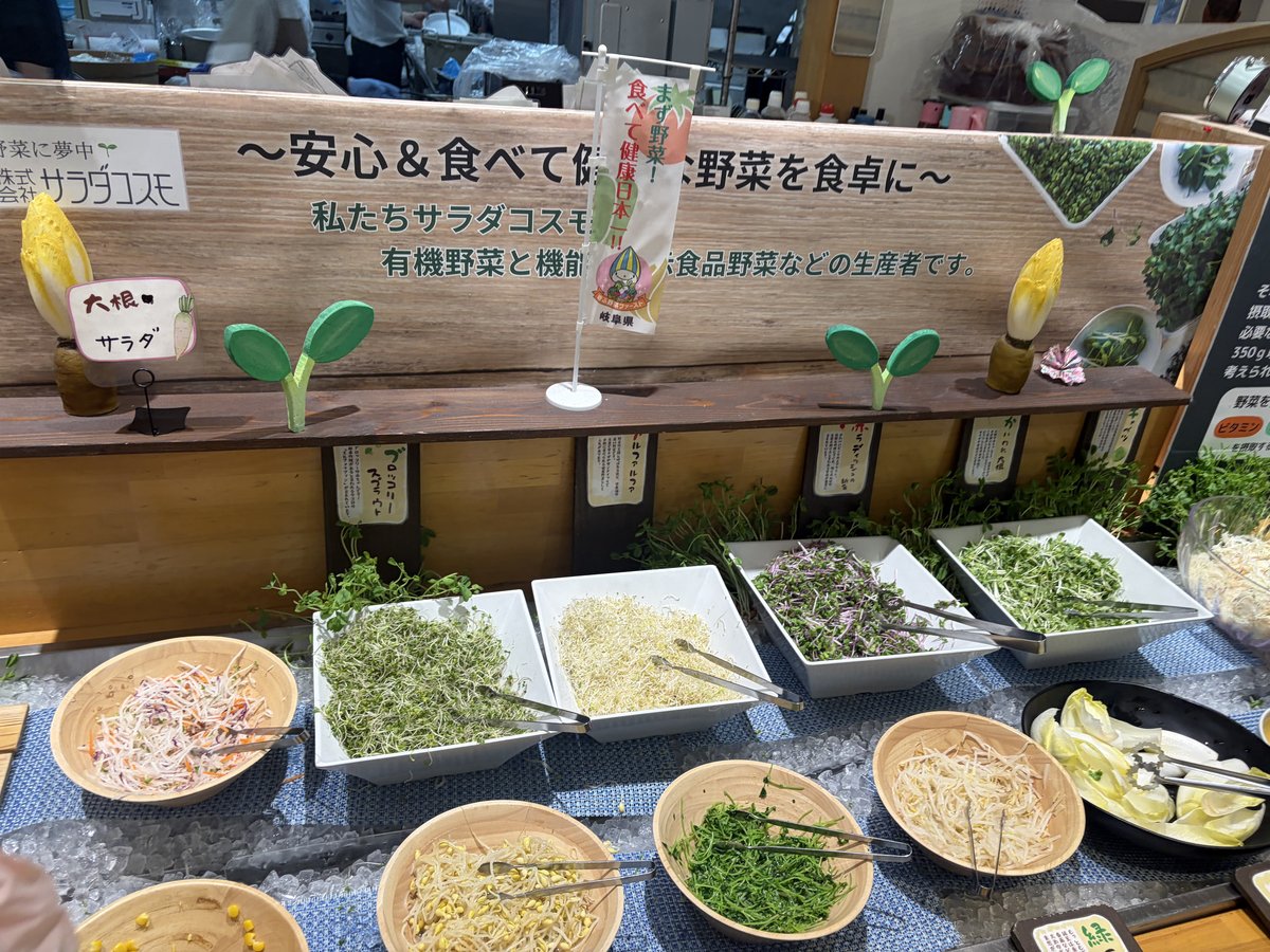 ちこり村 ビュッフェ スプラウト系サラダコーナー 有機野菜