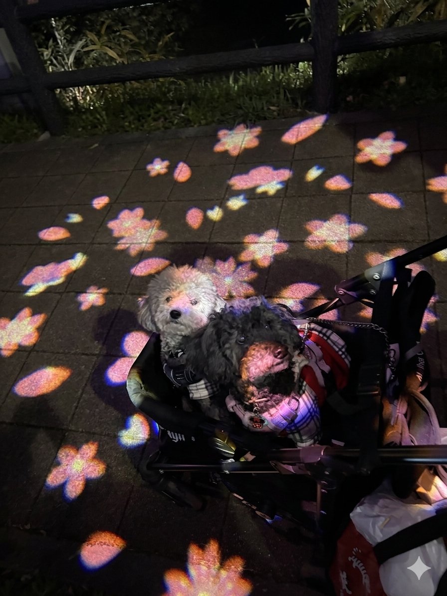 プロジェクションマッピングの桜の光の中のわんこ