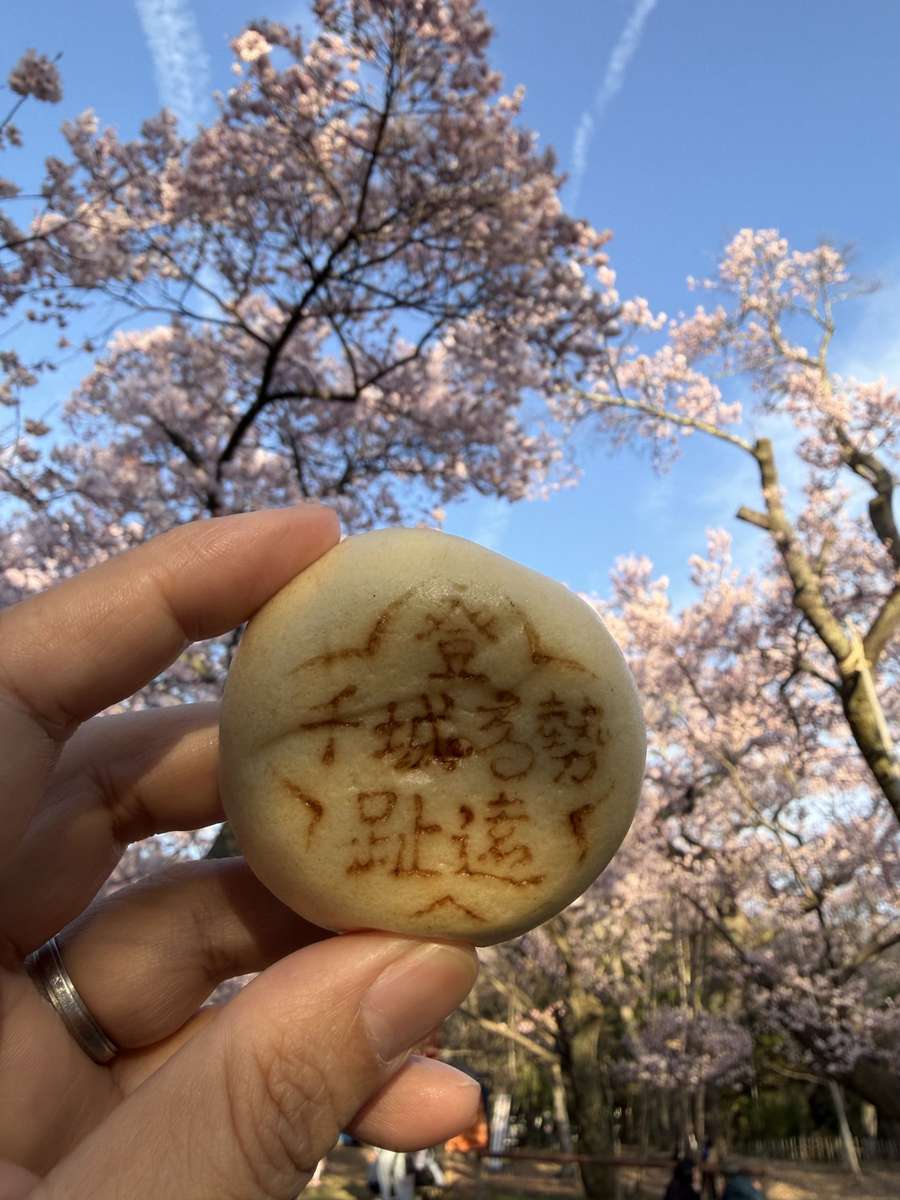 桜の木の下で掲げた高遠まんじゅう