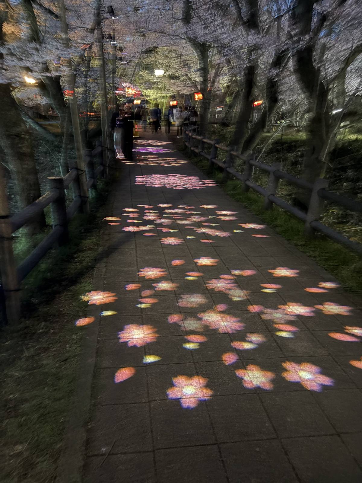 プロジェクションマッピングの遊歩道