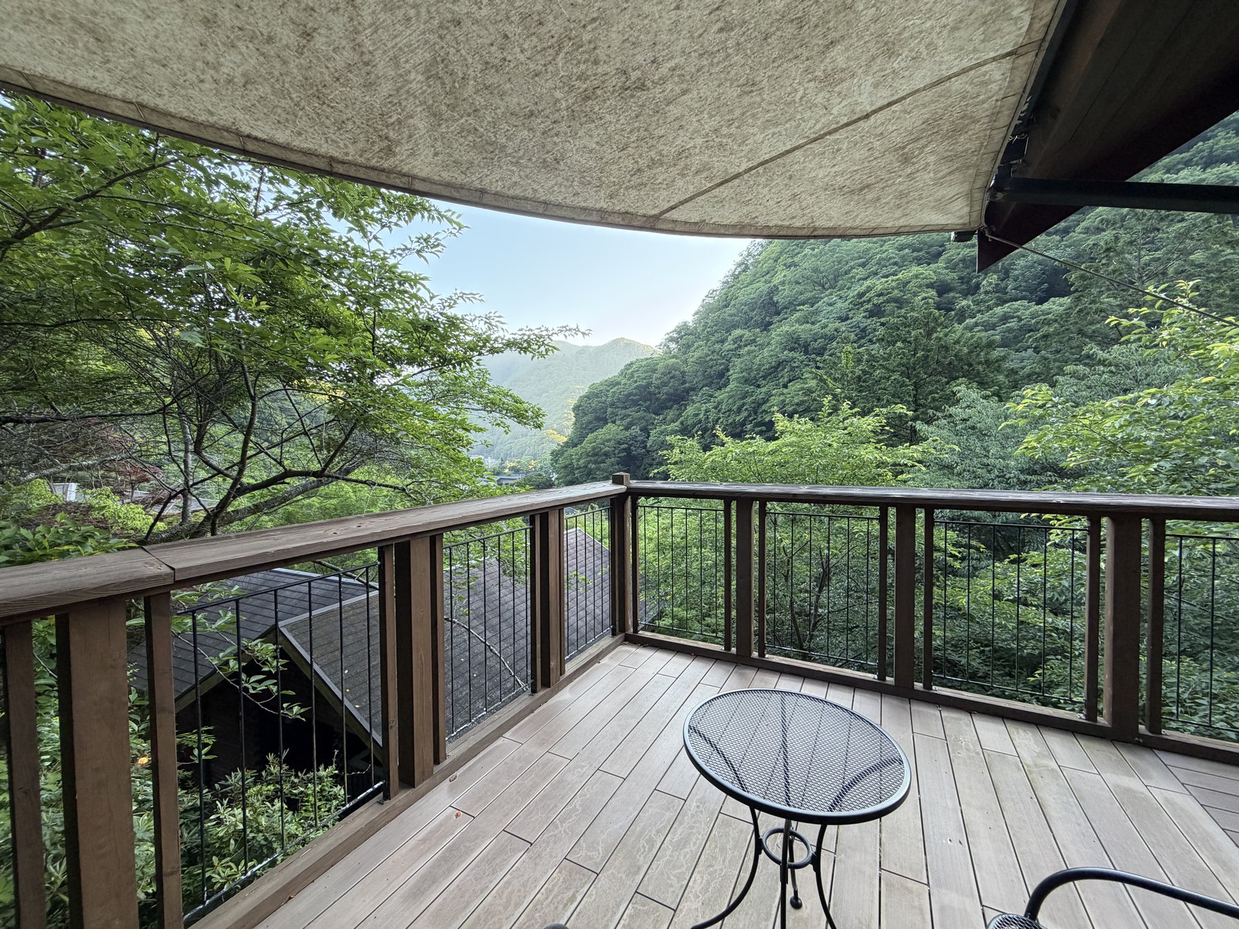 客室テラスからの山の景色