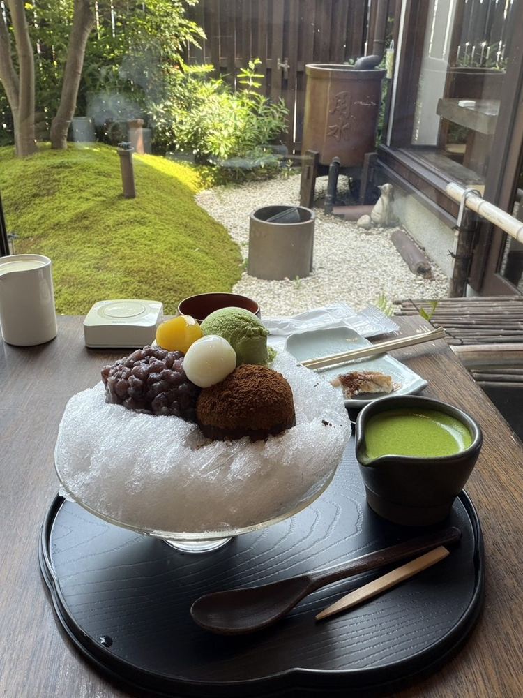 大蔵餅の夏わらび 中庭を眺めながらいただく