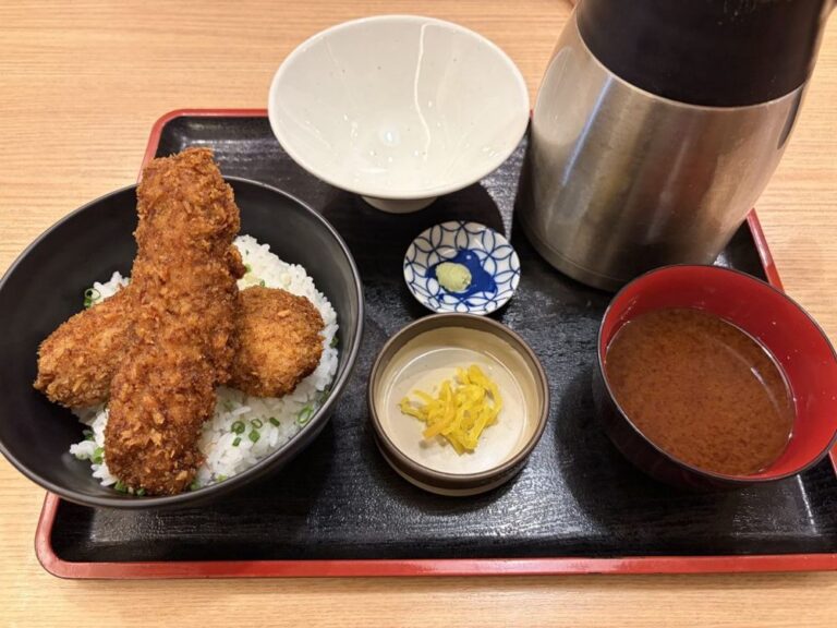 わだ泉の醤油カツ丼セット全景 お出汁と薬味付き